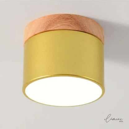 Luminária de Teto LED Sobrepor Nórdico