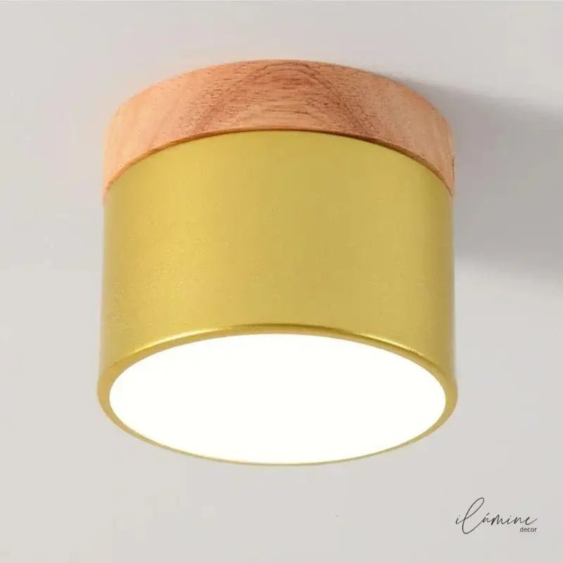 Luminária de Teto LED Sobrepor Nórdico